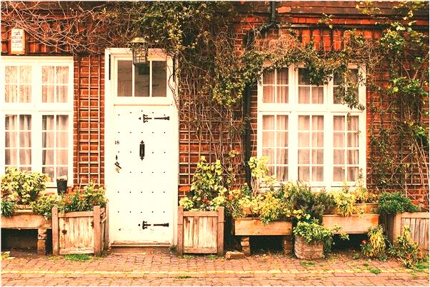 夢到給狗扔食物有何寓意_周公解夢官網