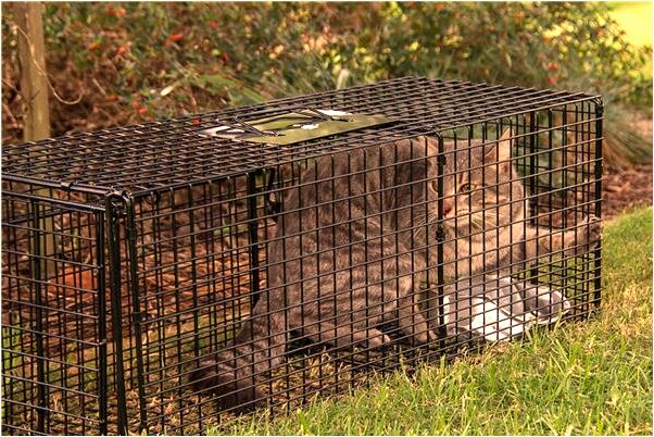 夢到了被小女孩尿了一身尿是咋回事_周公解夢官網