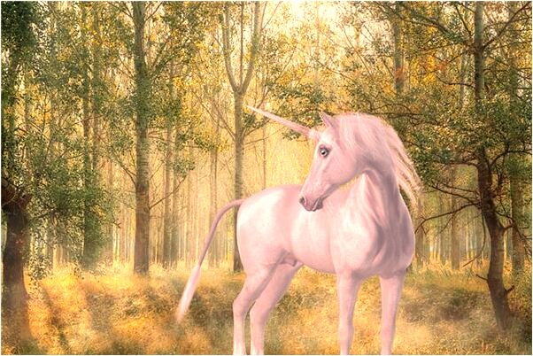 夢到了和養父做愛會是什麼預兆_周公解夢官網