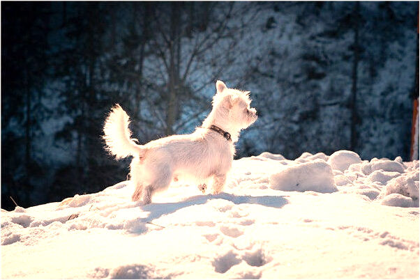夢到兩個不認識的人戀愛怎么說_周公解夢官網