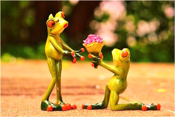 夢到了自己能在空中行走有什麼意思嗎_周公解夢官網