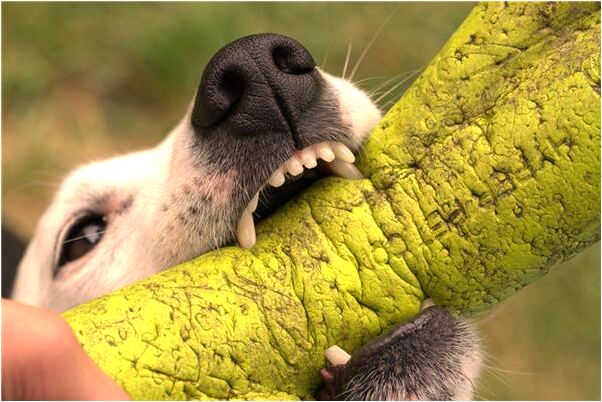 夢見紙人能動是吉兆嗎?_周公解夢官網