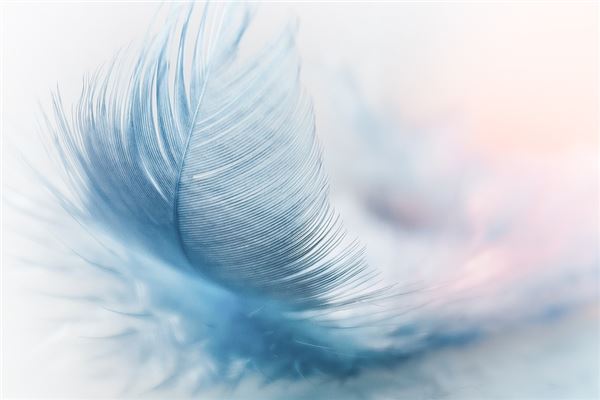 夢見拔毛_周公解夢