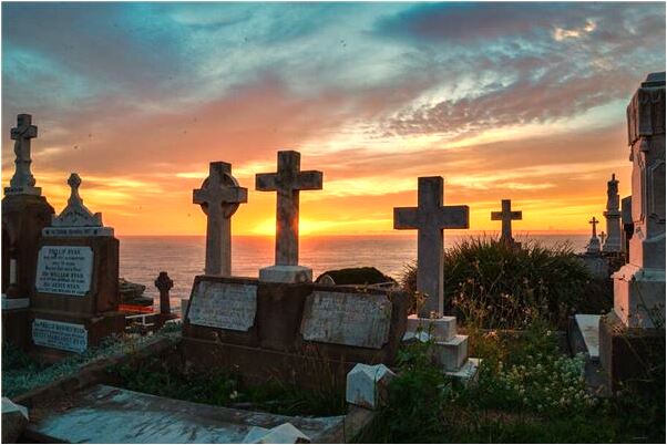 夢見在山上摘韭菜意味著什麼_周公解夢官網