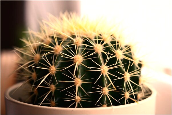 夢到背後中四槍會是什麼預兆_周公解夢官網