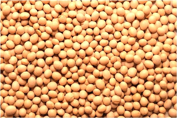 夢到別人給工資給自已是什麼預兆_周公解夢官網