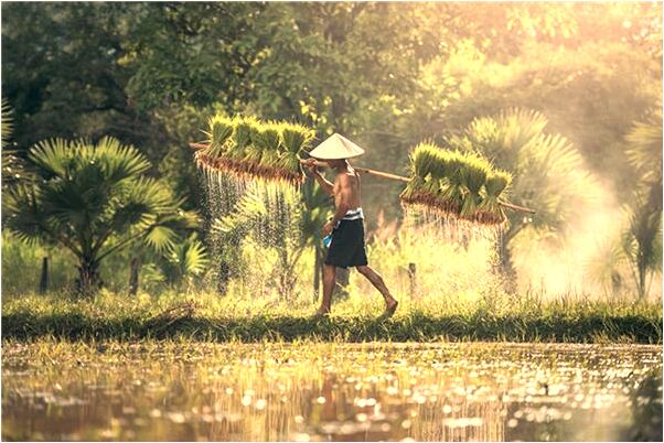 夢到夢前妻和我牽手哭了意味著什麼_周公解夢官網