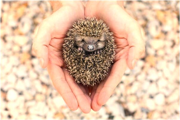 夢到別人打架死人了啥意思_周公解夢官網