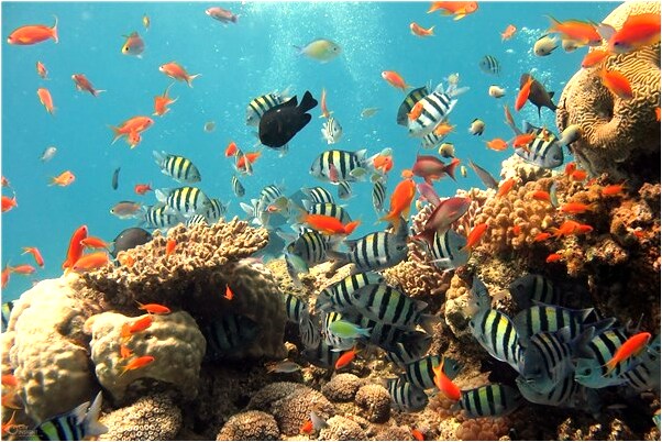 夢到突然下大雨和別人避雨是好是壞_周公解夢官網