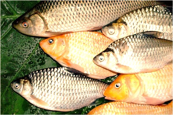 夢見穿別人的敬酒服預示什麼_周公解夢官網