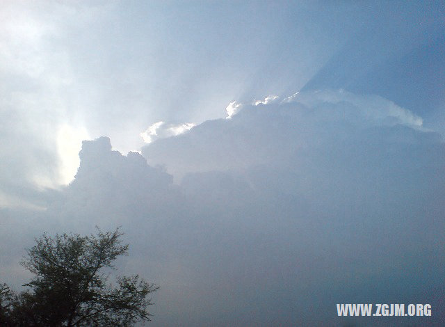 夢見很多蜘蛛_周公解夢夢到很多蜘蛛是什麼意思_做夢夢見很多蜘蛛好不好_周公解夢官網