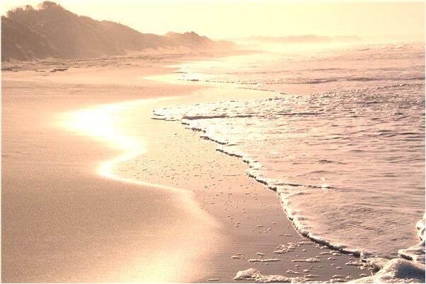 夢到領導打電話我會是什麼預兆_周公解夢官網