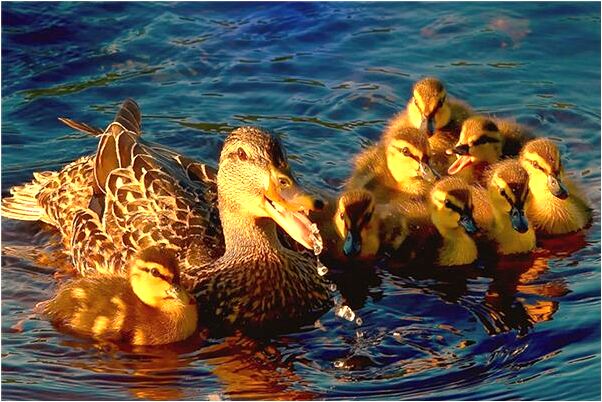 夢到了雪像高牆怎么樣_周公解夢官網