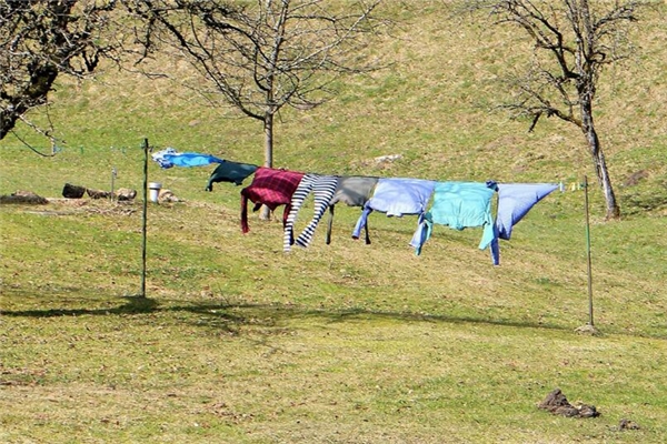 夢到曬衣服下雨有什麼意思_周公解夢