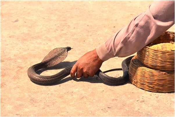 夢到了眼鏡腿是好的徵兆嗎_周公解夢官網