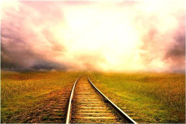 夢到了灰黑兔子猛的跑進家什麼預兆_周公解夢官網