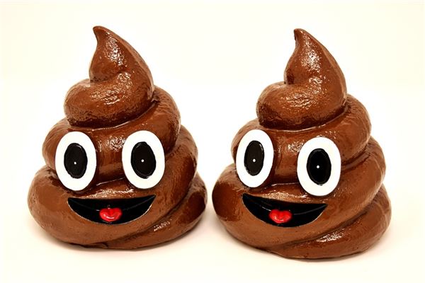 夢見把屎是什麼徵兆_周公解夢