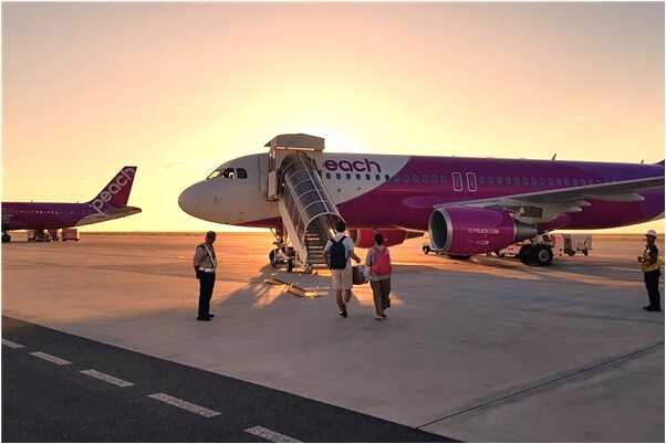 夢見抓住一隻小兔子意味著什麼_周公解夢官網