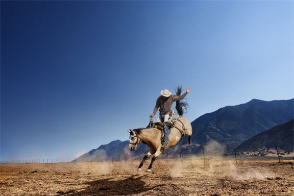 屬馬人出生月的命運如何_十二生肖