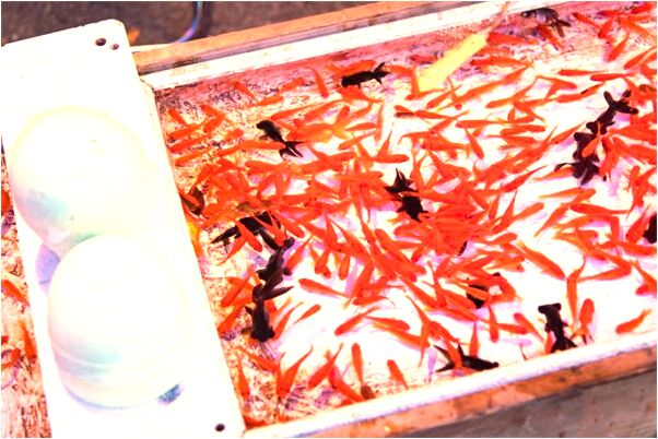 夢到被誣陷殺人是好的徵兆嗎_周公解夢官網