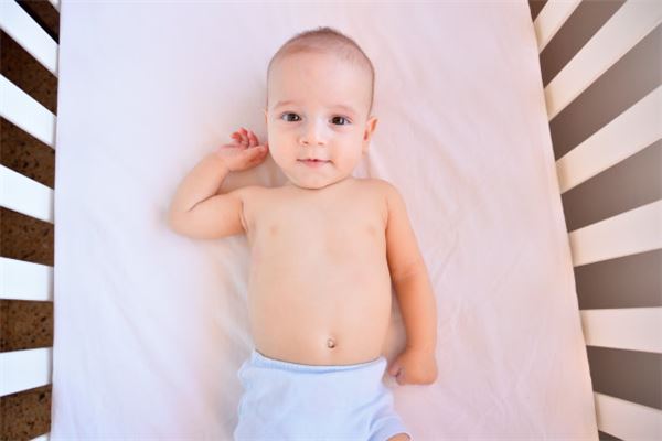 2021年屬什麼生肖_十二生肖