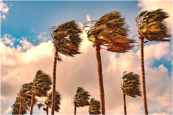 夢到了別人的車人被交警拉走是好的徵兆嗎_周公解夢官網