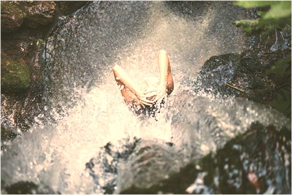 夢見抱抱被水嗆是好的徵兆嗎_周公解夢官網