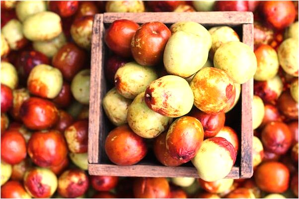 夢到了紐西蘭意味著什麼_周公解夢官網