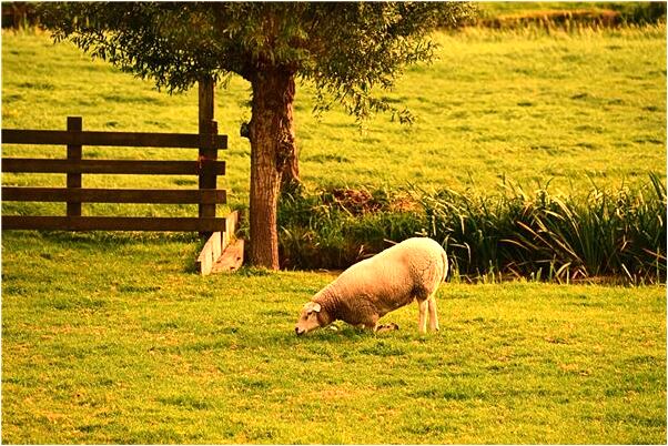 夢到了夢工作不成有什麼徵兆_周公解夢官網