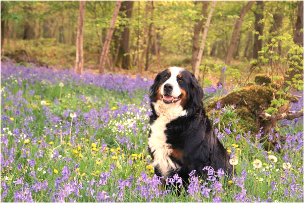 夢見父親身陷泥潭是不是好的徵兆呢_周公解夢官網