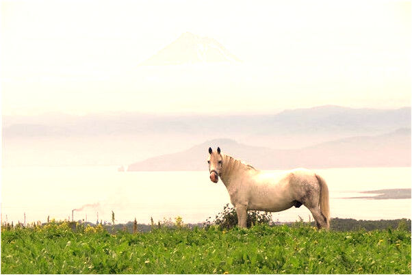 夢見朋友差點被另一個朋友是好的徵兆嗎_周公解夢官網