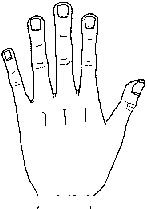 Hand shape