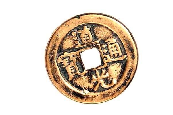 夢見乘坐海豚是不是好的徵兆呢_周公解夢官網