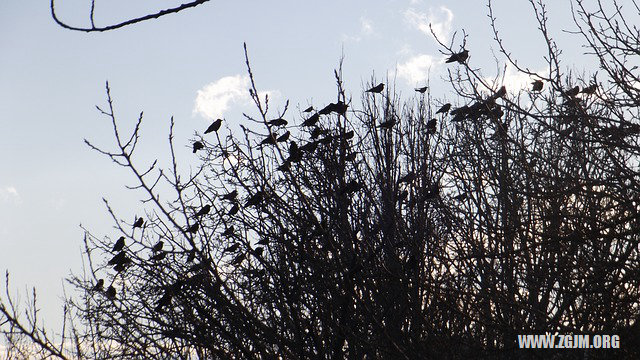 夢見老公淹死了_周公解夢夢到老公淹死了是什麼意思_做夢夢見老公淹死了好不好_周公解夢官網