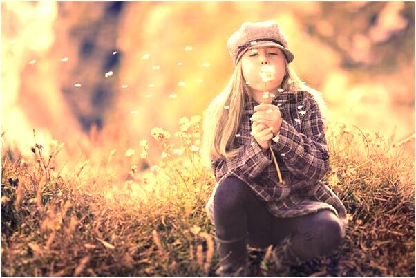 夢見許多活蛇和死蛇有什麼意思_周公解夢官網