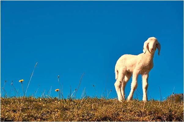 夢到前男友搶戒指預示了什麼_周公解夢官網