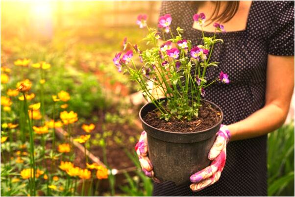 夢見小便滅火有什麼寓意嗎？_周公解夢官網