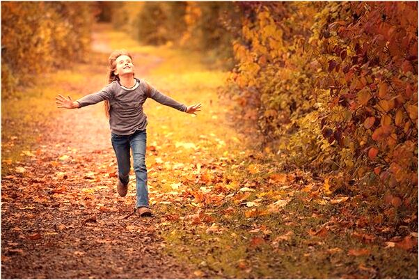 夢見伍萬元被人拿走一半啥意思_周公解夢官網