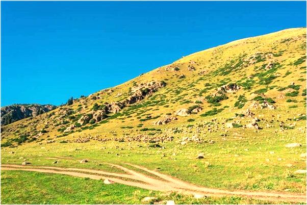 夢到給過世的長輩做衣服有什麼預兆_周公解夢官網