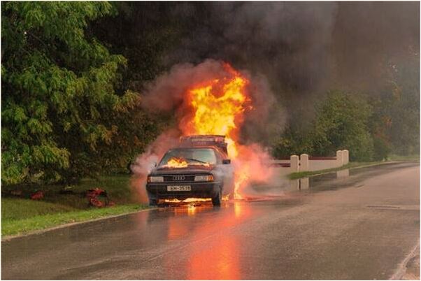 夢到了老婆被烏龜咬了有什麼意義嗎_周公解夢官網