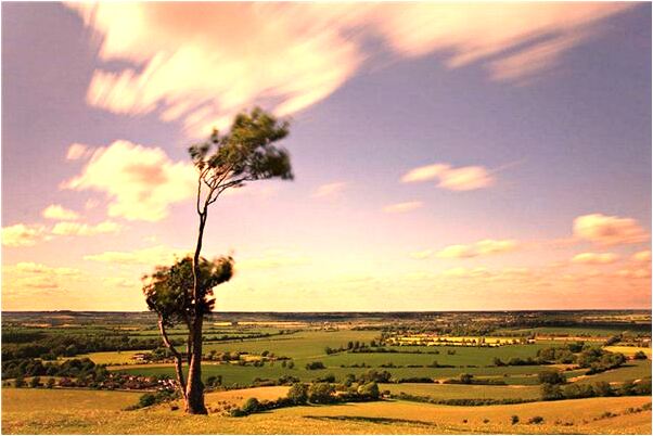 夢見我抱著一個男孩是啥預兆_周公解夢官網