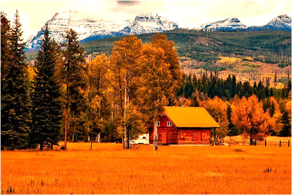 夢到水裡行是什麼意思_周公解夢官網