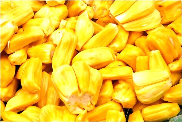 夢到了解豬與人對話會有什麼預兆_周公解夢官網