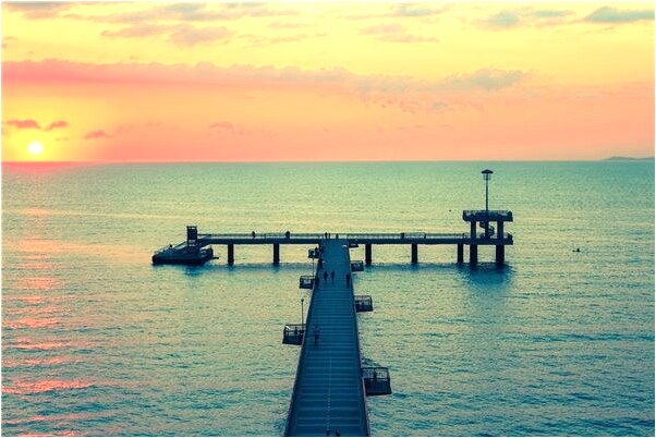 夢見生小蛇有什麼寓意嗎？_周公解夢官網