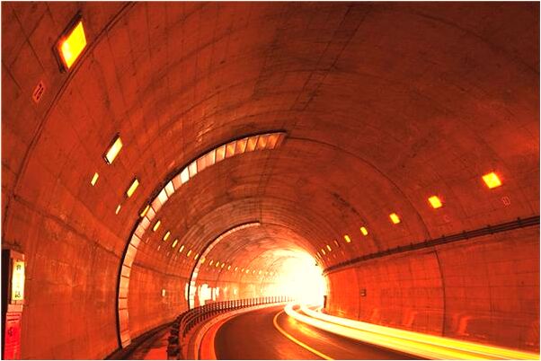 夢見別人偷菜苗給自己是好的徵兆嗎_周公解夢官網