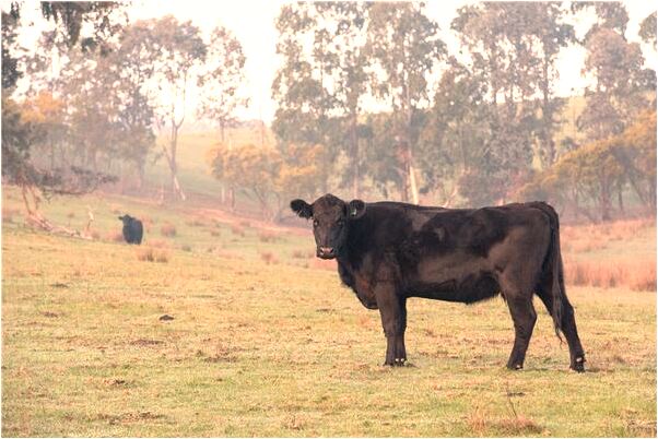 夢到了翻別人褲兜是什麼徵兆_周公解夢官網