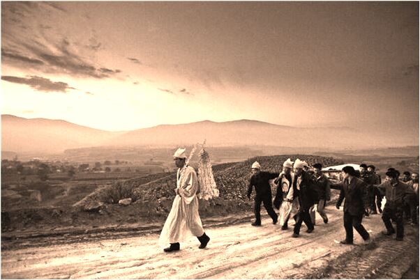 夢見大鍋里的牛血牛骨頭湯是咋回事_周公解夢官網