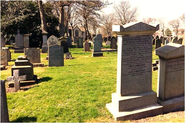 夢到了黑蜘蛛進入天國是凶兆還是吉兆_周公解夢官網