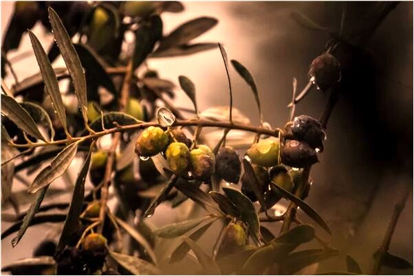 夢到敵人想強暴我方的美女好不好_周公解夢官網