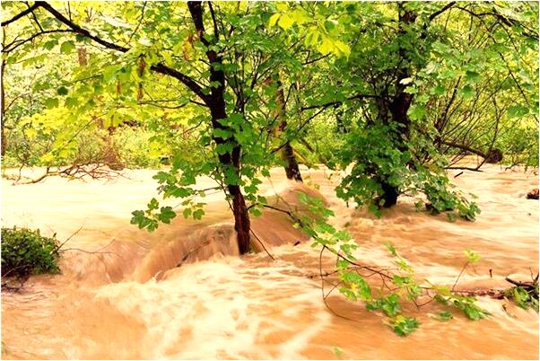 夢到了臉上多了塊胎記是啥預兆_周公解夢官網